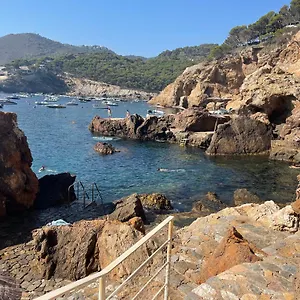 https://apartment-in-cap-sa-sal.catalonia-hotels.com